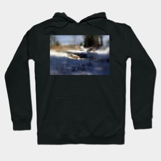 snowy Oregon forest , Fox Creek 7 Hoodie